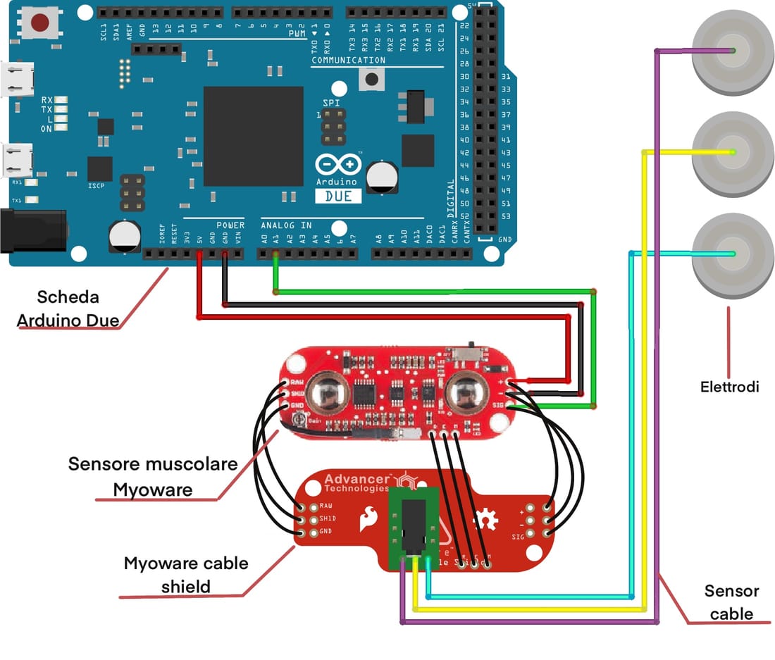 EMG system setup: wiring of the Arduino Due, the MyoWare muscle sensor and its cable shield, and three surface electrodes connected through the sensor cable.